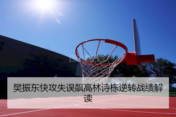 樊振东快攻失误飙高林诗栋逆转战绩解读
